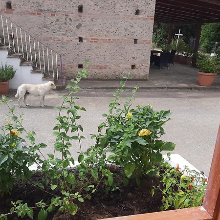 Azienda Agricola Neocastrum Lamezia Terme Kültér fotó