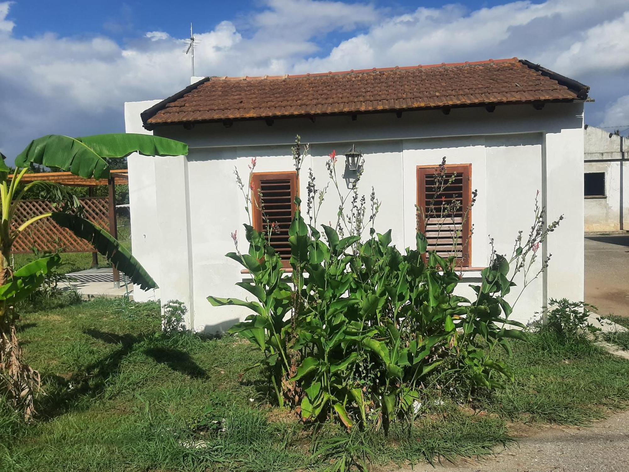 Azienda Agricola Neocastrum Lamezia Terme Kültér fotó
